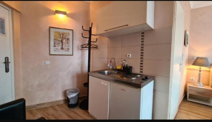 Visoki Stevan Apartments Belgrade Extérieur photo