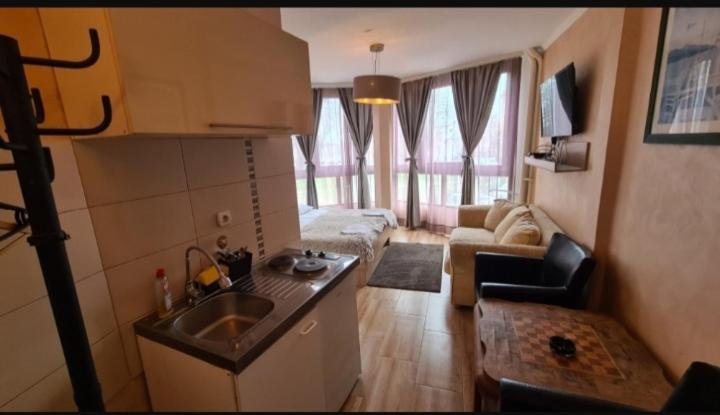 Visoki Stevan Apartments Belgrade Extérieur photo