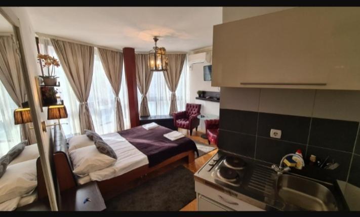 Visoki Stevan Apartments Belgrade Extérieur photo